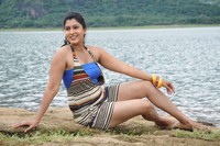 Sherlyn Pinto Spicy Photos